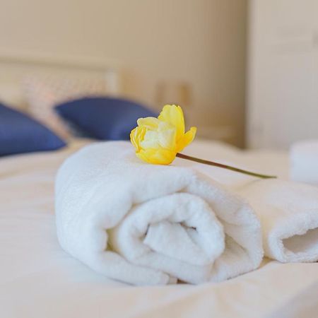 5* Mansion In City Center Клуж-Напока Екстериор снимка